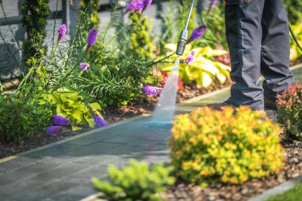 Professional Pressure Washing Services in Roosevelt, NJ